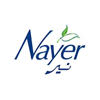 نیر