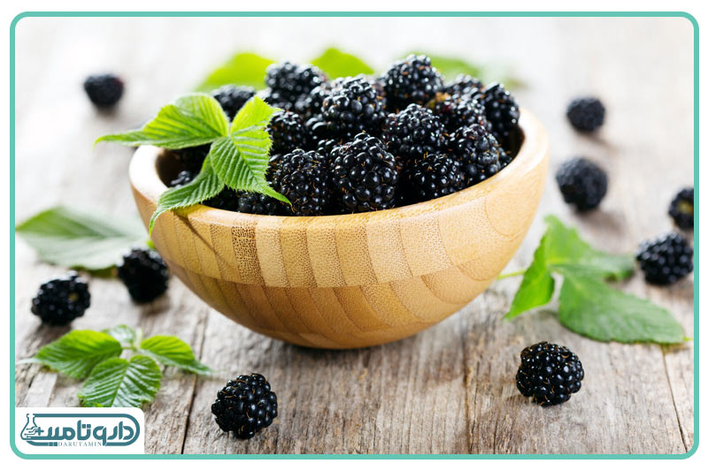 ژنوبایوتیک ژل بهداشتی بانوان یائسه