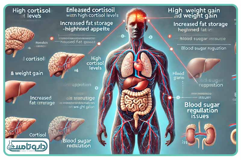 ابطه بین کورتیزول بالا و افزایش وزن